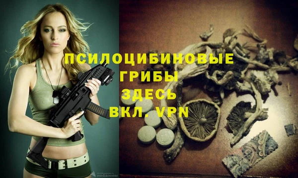 ГАЛЛЮЦИНОГЕННЫЕ ГРИБЫ Волоколамск