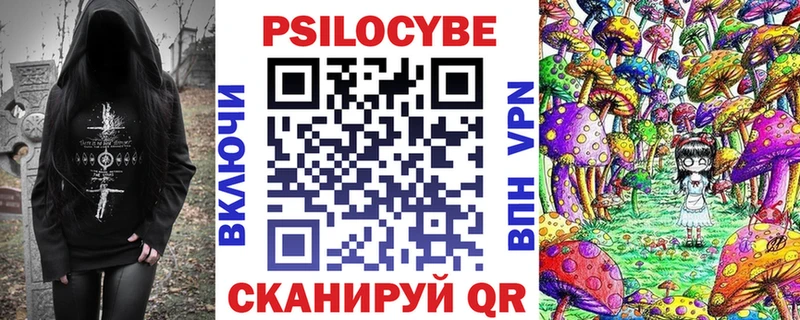 купить наркотик  Новосибирск  ОМГ ОМГ рабочий сайт  Псилоцибиновые грибы MAGIC MUSHROOMS 